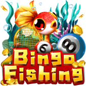 Bingo Fishing on plus777 live